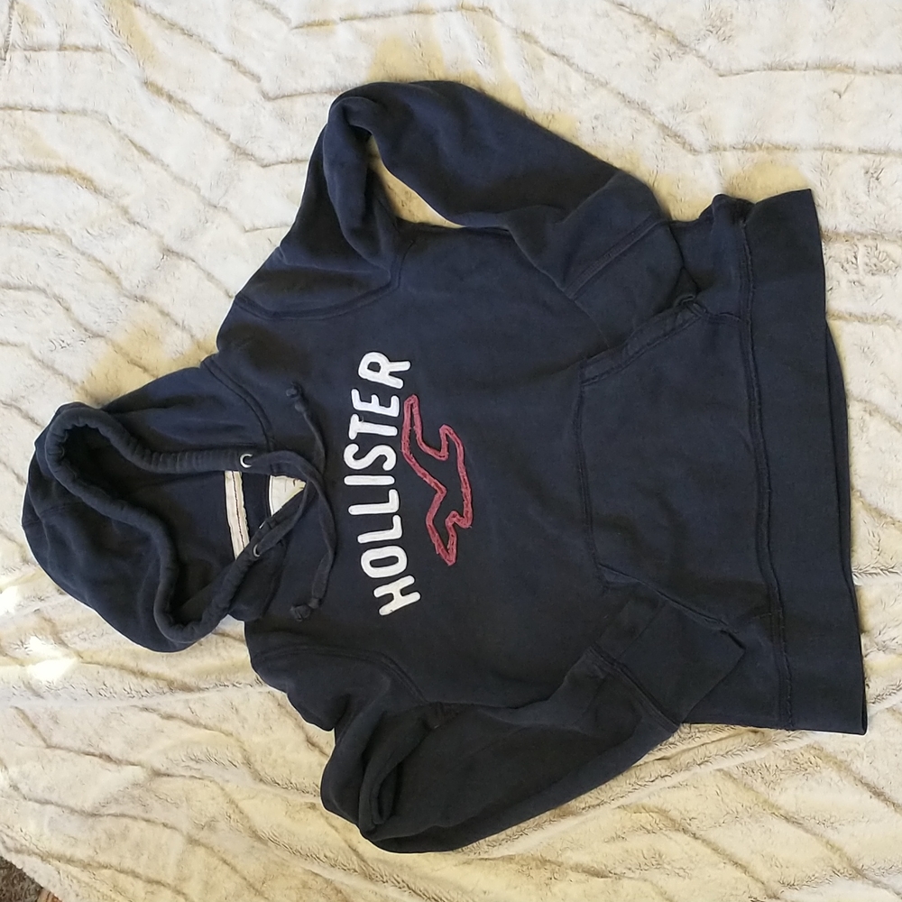 Hollister navy hooded sweatshirt